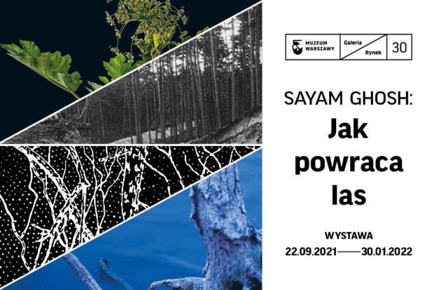 wystawa-sayam-ghosh-jak-powraca-las